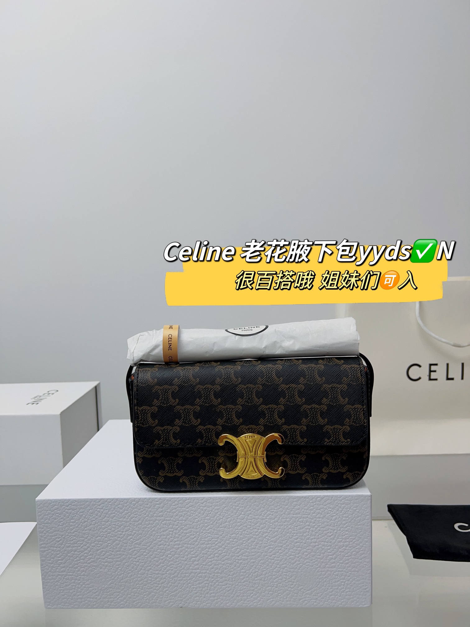セリーヌバッグCELINE 2023年新作 アンダーアームバッグ