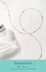 ティファニーネックレスTiffany 2023 新作 ネックレス