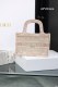 ディオールバッグDIOR 2023新作 刺繍トートバッグ