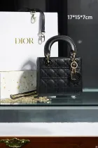 ディオールバッグDIOR 2023 新作 プリンセス ダイアナ バッグ