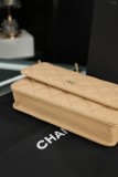 シャネルバッグ CHANEL  2024新作 ウォックフォーチュンパッケージ