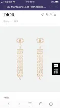ディオールピアス DIOR 2024新作 タッセルイヤリング