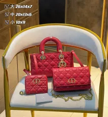 ディオールバッグ DIOR 2024新作 バッグ 財布 3点セット