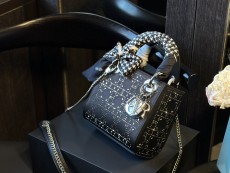 ディオールバッグ DIOR 2024新作 航空機ケース