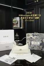 ディオールバッグ DIOR 2024新作 脇の下のバッグ