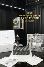 ディオールバッグ DIOR 2024新作 脇の下のバッグ