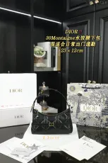 ディオールバッグ DIOR 2024新作 脇の下のバッグ