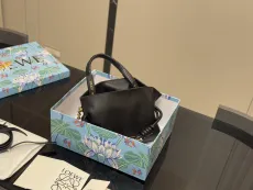 ロエベバッグ LOEWE 2025新作 福袋