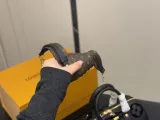 ルイヴィトンバッグ LOUIS VUITTON 2025新作 枕袋