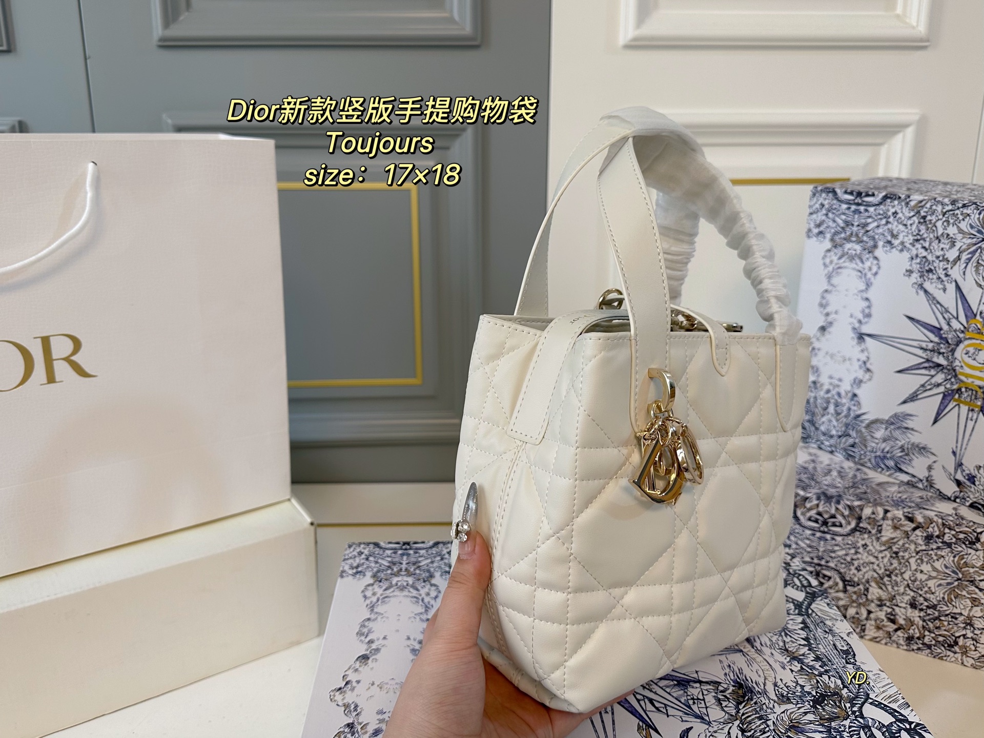 ディオールバッグ DIOR 2025新作 ハンドバッグ