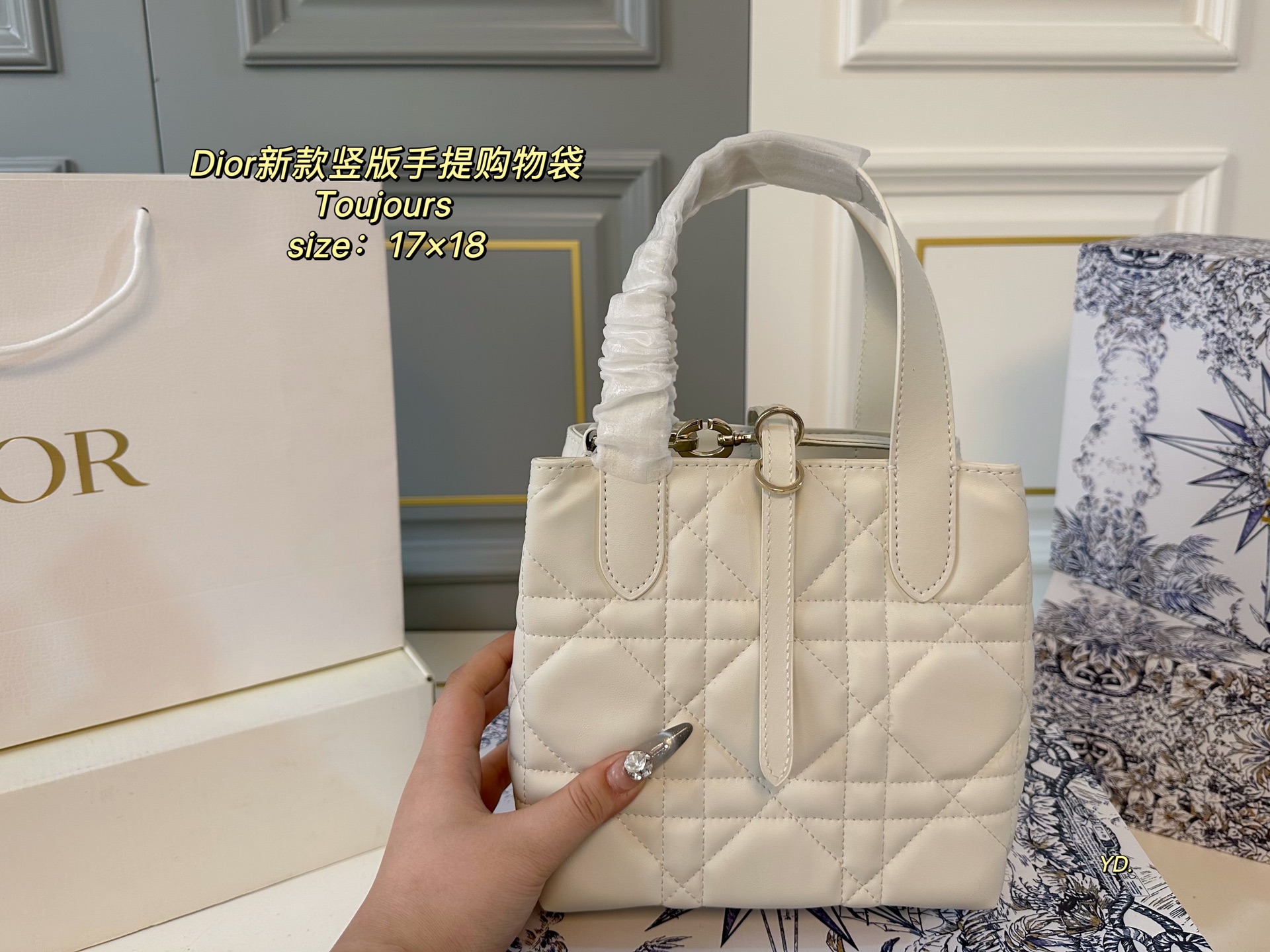 ディオールバッグ DIOR 2025新作 ハンドバッグ