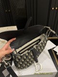 ディオールバッグ DIOR 2025新作 サドルバッグ