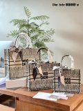 ディオールバッグ DIOR 2025新作 ショッピングバッグ