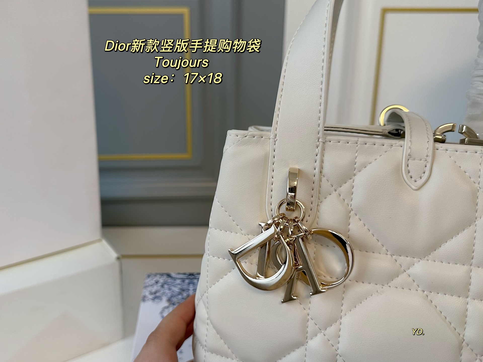 ディオールバッグ DIOR 2025新作 ハンドバッグ