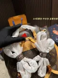 ルイヴィトンバッグ LOUIS VUITTON 2025新作 バックパック