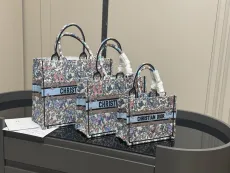 ディオールバッグ DIOR 2025新作 トートバッグ