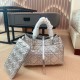 ディオールバッグ DIOR 2025新作 トートバッグ