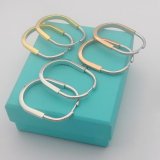 ティファニーピアス Tiffany&Co 2025新作 ピアス