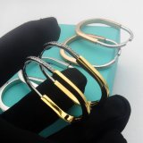 ティファニーピアス Tiffany&Co 2025新作 ピアス