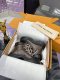 ルイヴィトン靴 LOUIS VUITTON 2025新作 キャンバスシューズ
