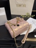 ディオールバッグ DIOR 2025新作 ダイ妃バッグ