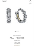 ティファニーピアス Tiffany&Co 2025新作 ピアス