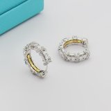 ティファニーピアス Tiffany&Co 2025新作 ピアス