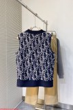 ディオール服 DIOR 2025新作 ベスト