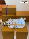 ルイヴィトンバッグ LOUIS VUITTON 2026新作 ペットリード