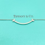 ティファニーネックレス Tiffany&Co 2026新作 ネックレス