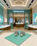 ティファニーピアス Tiffany&Co 2026新作 ピアス