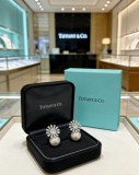 ティファニーピアス Tiffany&Co 2026新作 ピアス