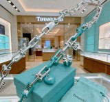 ティファニーネックレス Tiffany&Co 2026新作 ネックレス