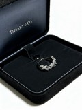 ティファニー指輪 Tiffany&Co 2026新作 指輪