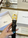 ディオールベルト DIOR 2026新作 ベルト