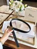 ディオールベルト DIOR 2026新作 ベルト