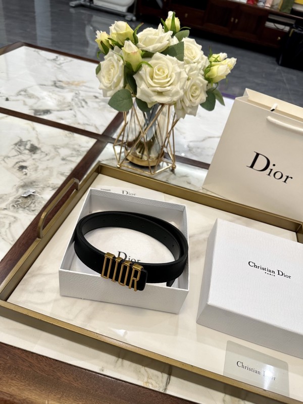 ディオールベルト DIOR 2026新作 ベルト