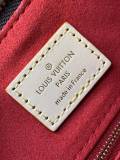 ルイヴィトンバッグ LOUIS VUITTON 2026新作 高品質 ハンドバッグ