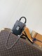 ルイヴィトンバッグ LOUIS VUITTON 2026新作 高品質 ハンドバッグ