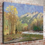 High Country Meadow HD Canvas Print Home Decor Paintings Wall Art Pictures