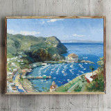 Catalina View From Mt. Ada HD Canvas Print Home Decor Paintings Wall Art Pictures