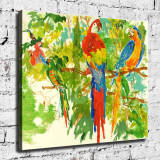 Parrot HD Canvas Print Home Decor Paintings Wall Art Pictures