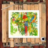 Parrot HD Canvas Print Home Decor Paintings Wall Art Pictures