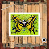 butterfly HD Canvas Print Home Decor Paintings Wall Art Pictures