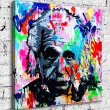 Einstein HD Canvas Print Home Decor Paintings Wall Art Pictures