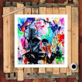 Einstein HD Canvas Print Home Decor Paintings Wall Art Pictures