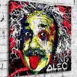Einstein HD Canvas Print Home Decor Paintings Wall Art Pictures