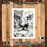 Tiger HD Canvas Print Home Decor Paintings Wall Art Pictures