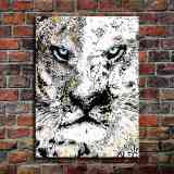 Tiger HD Canvas Print Home Decor Paintings Wall Art Pictures