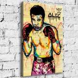 Boxer HD Canvas Print Home Decor Paintings Wall Art Pictures